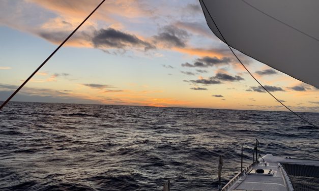 Transat semaine 1