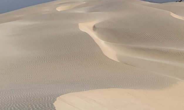 BOA VISTA
