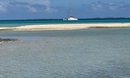 Archipel des Tuamotu :RAROIA